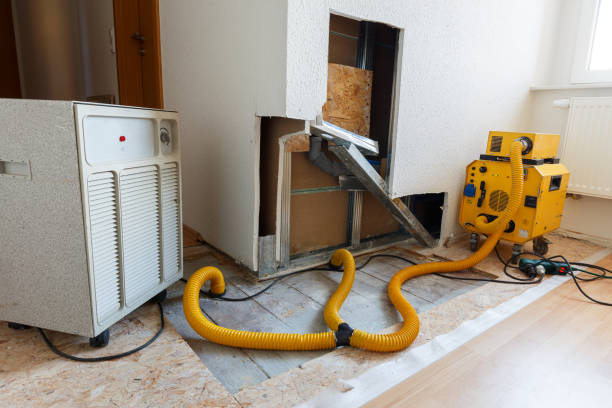 Best Commercial Mold Inspection  in Csar Chvez, TX