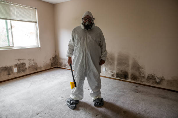 Mold Remediation for Vacation Homes in Csar Chvez, TX